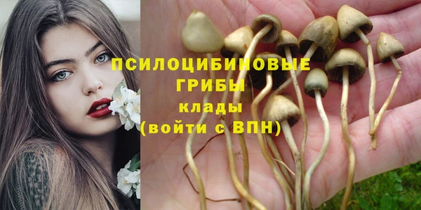марки nbome Баксан