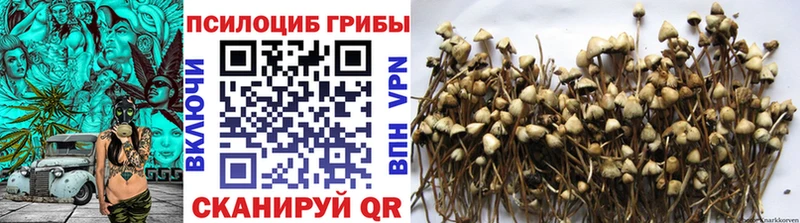 Галлюциногенные грибы мухоморы  как найти   Буинск 