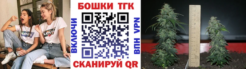 Бошки Шишки Amnesia  Буинск 